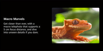 HUAWEI Pura 80 Pro 4G Smartphone | 12GB RAM + 512GB Storage | 6.8" LTPO OLED Display | Ultra Lighting Quad Camera with 100x Zoom | 5170mAh Battery | 100W Wired & 80W Wireless SuperCharge | /IP69 High Quality | EMUI 15.0 | NFC