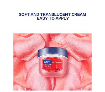 مجموعة مرطب الشفاه 4/6/8 قطع، قاعدة مرطبة ومبيضة، قاعدة نباتية طبيعية، مرطب للشفاه المتشققة، مرطب جيلي