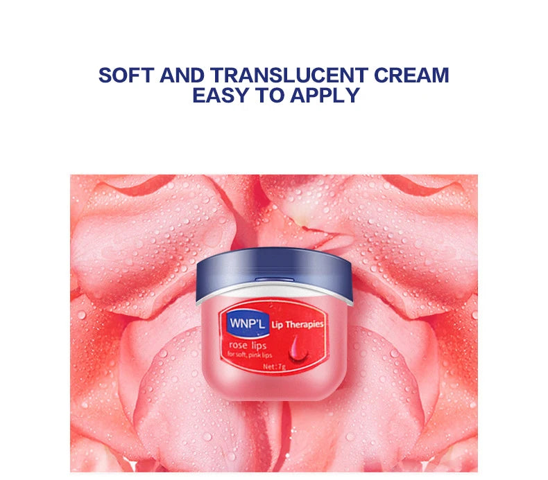 مجموعة مرطب الشفاه 4/6/8 قطع، قاعدة مرطبة ومبيضة، قاعدة نباتية طبيعية، مرطب للشفاه المتشققة، مرطب جيلي