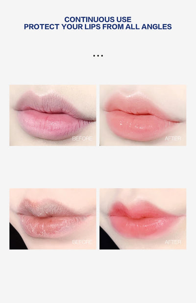 مجموعة مرطب الشفاه 4/6/8 قطع، قاعدة مرطبة ومبيضة، قاعدة نباتية طبيعية، مرطب للشفاه المتشققة، مرطب جيلي