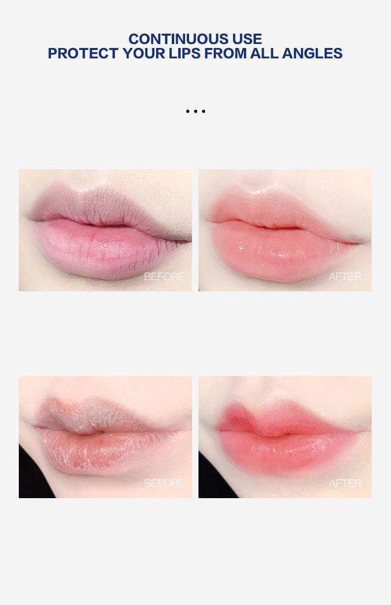 مجموعة مرطب الشفاه 4/6/8 قطع، قاعدة مرطبة ومبيضة، قاعدة نباتية طبيعية، مرطب للشفاه المتشققة، مرطب جيلي