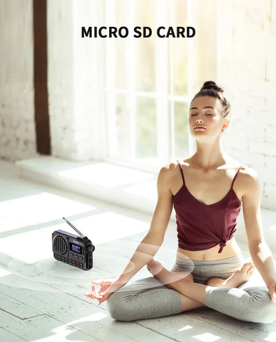 مكبر صوت بلوتوث محمول للغاية MLOVE BV800 مع راديو FM وشاشة عرض LCD وهوائي ومدخل AUX وقرص USB وبطاقة TF ومشغل MP3