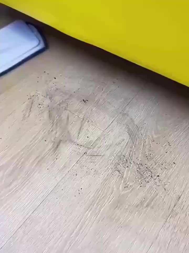 1 household mop with spraying function, including 4 replaceable cleaning cloths, with 360-degree flexible cleaning-suitable for living room, bedroom, kitchen and bathroom.