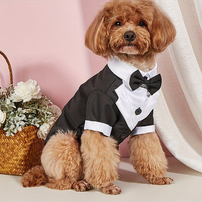 Elegant Black & White Pet Tuxedo with Bow Tie - Formal Attire for Small Dogs and Cats, Perfect for Weddings, Birthdays, and Special Events